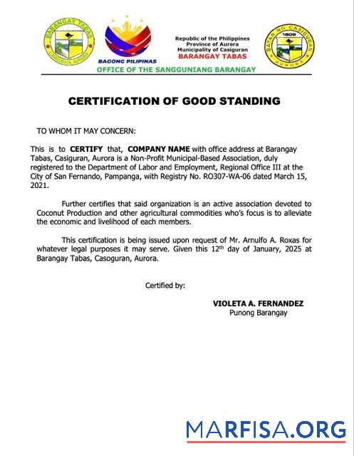 Blank Philippines certification of good standing Word and PDF template, version 4